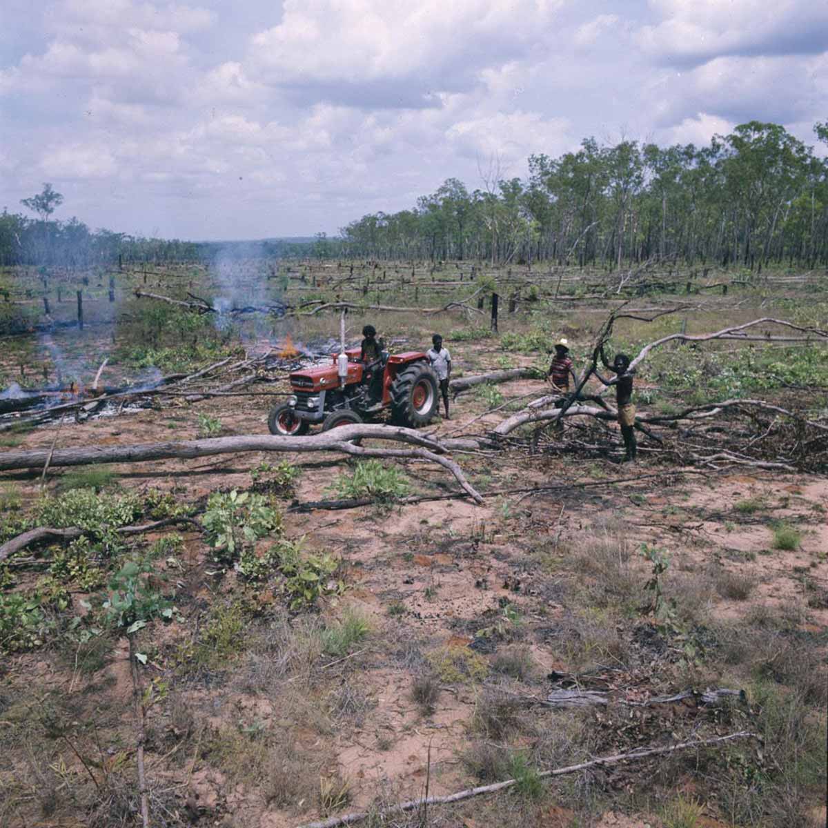 Airstrip-clearing_Mumeka_colour_1200sq Four Aboriginal men standing in a wide semi-cleared strip of bush. One sits on a tractor